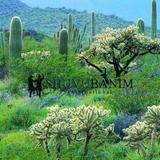 תפילה מאת הגה"צ הרב אליעזר ברלנד שליט"א - כבוד האישה ולכבדה במילים טובות