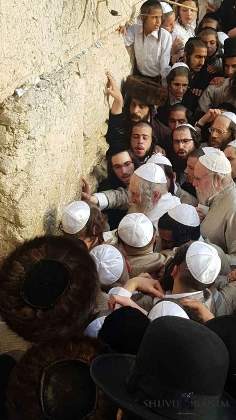 גלריית תמונות מרהיבה מהעליה לרגל של הגה"צ הרב אליעזר ברלנד שליט"א בחג הפסח