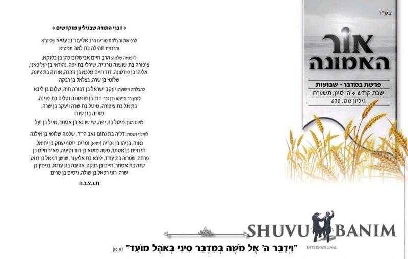 אור האמונה - פרשת במדבר