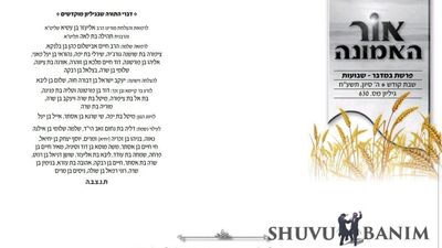 אור האמונה - פרשת במדבר