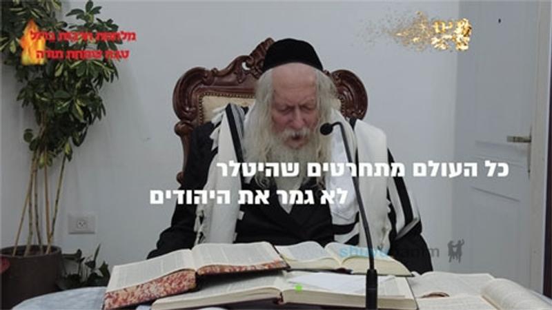 "כל העולם מתחרטים שהיטלר לא גמר את היהודים" - הגה"צ הרב אליעזר ברלנד שליט"א