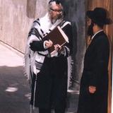 הגה"צ ר' אליעזר ברלנד שליט"א - ראיון נדיר