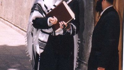 הגה"צ ר' אליעזר ברלנד שליט"א - ראיון נדיר