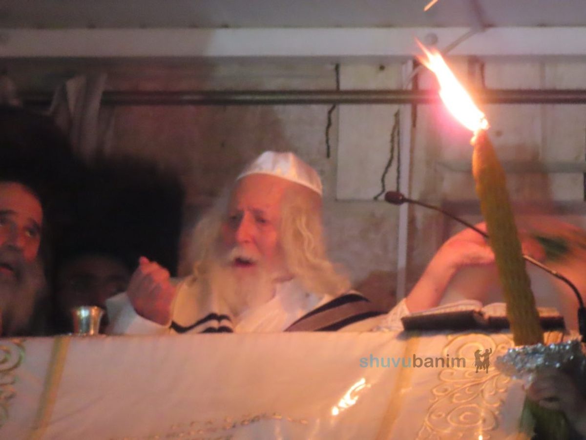 סִינַי סִינַי לוֹ נִקְרָא אֲרִי שֶׁבַּחֲבוּרָה • שבת בהר - ל"ג בעומר בצילו של הגה"צ רבי אליעזר ברלנד שליט"א