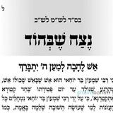 נצח שבהוד – תפילה לספירת העומר של היום מהגה"צ הרב אליעזר ברלנד שליט"א