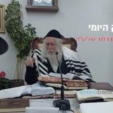 חייבים ללמוד רמב"ם - החיזוק היומי מהגה"צ הרב אליעזר ברלנד שליט"א