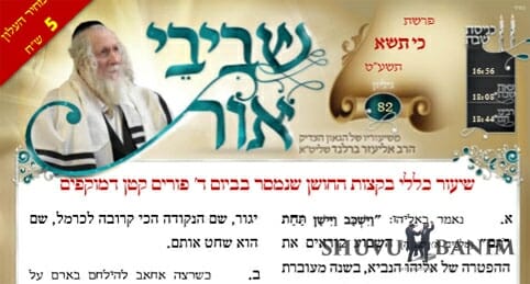 דברי קודשו של הגה"צ הרב אליעזר ברלנד שליט"א - שביבי אור לפרשת כי תישא