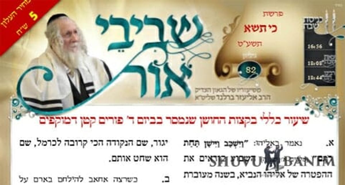 דברי קודשו של הגה"צ הרב אליעזר ברלנד שליט"א - שביבי אור לפרשת כי תישא