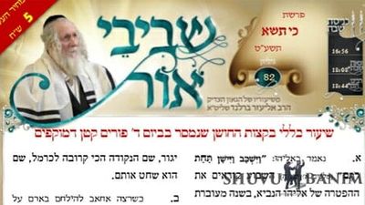 דברי קודשו של הגה"צ הרב אליעזר ברלנד שליט"א - שביבי אור לפרשת כי תישא