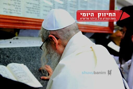 התינוק מקבל הכול מהאמא - החיזוק היומי מהגה"צ הרב אליעזר ברלנד שליט"א