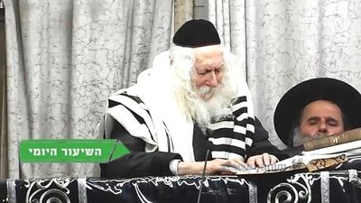 אדם צריך ללמוד כל יום עם אשתו להכניס חיות ואור • השיעור היומי מהגה"צ רבי אליעזר ברלנד שליט"א