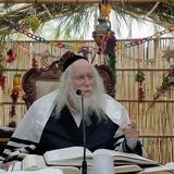 קדושי נובה והמקיפים של סוכות - החיזוק היומי מהגה"צ הרב אליעזר ברלנד שליט"א