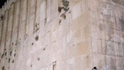 Rav Berland at Ma'arat HaMachpelah on Night of Zachor Brit