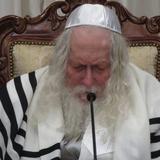 בְּחָכְמָה יִבָּנֶה בַּיִת • שמחת התנאים לנין הגה"צ רבי אליעזר ברלנד שליט"א במעון קודשו