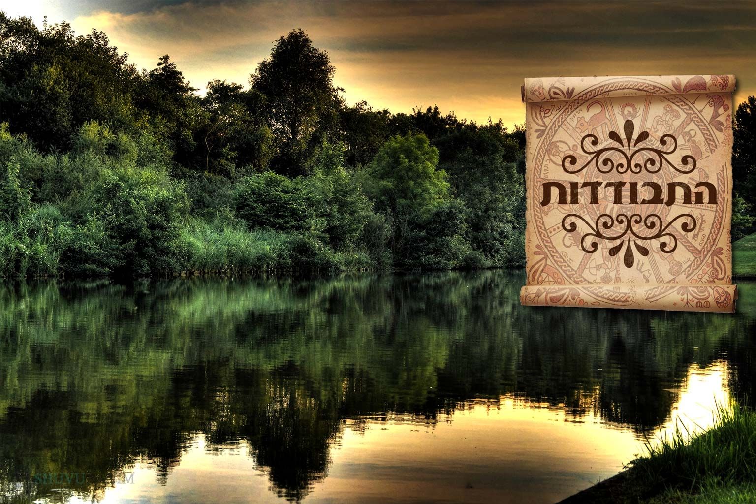 תפילה לפני ההתבודדות