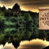 תפילה לפני ההתבודדות