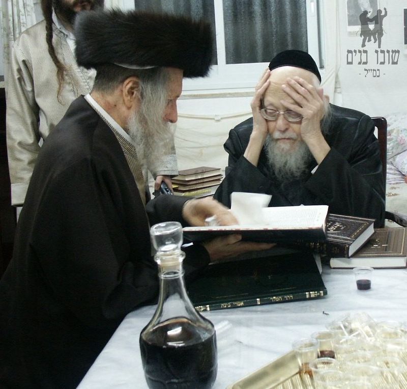 הרב אצל הגרי״ש אלישיב תשס״ו