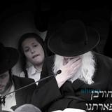 עַל זֶה הָיָה דָוֶה לִבֵּנוּ • תיעוד מיום תשעה באב תפילת שחרית ואמירת הקינות אצל הגה"צ רבי אליעזר ברלנד שליט"א