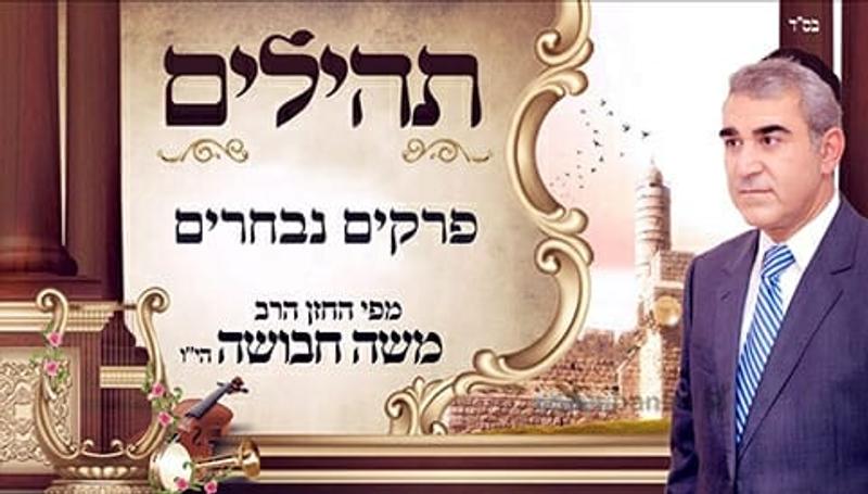 סגולה חזקה: ה'פרקים נבחרים' שגילה הרב ברלנד בניגון הפייטן משה חבושה