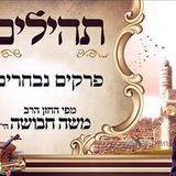 סגולה חזקה: ה'פרקים נבחרים' שגילה הרב ברלנד בניגון הפייטן משה חבושה