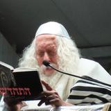 "אֲנִי יוֹסֵף" • סיקור שבת פרשת ויגש בצילו של הגה"צ רבי אליעזר ברלנד שליט"א