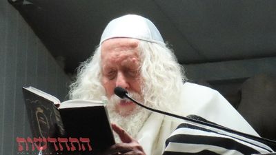 "אֲנִי יוֹסֵף" • סיקור שבת פרשת ויגש בצילו של הגה"צ רבי אליעזר ברלנד שליט"א