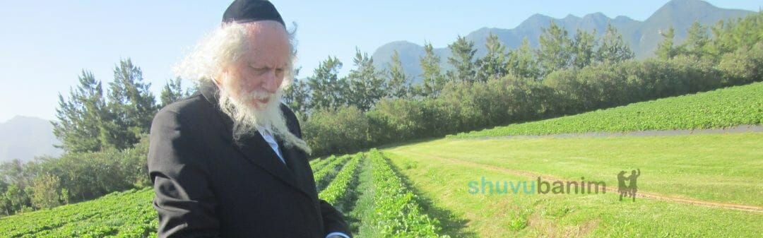 תפילה לומר לפני ברכת האילנות מהגה"צ רבי אליעזר ברלנד שליט"א