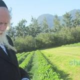 תפילה לומר לפני ברכת האילנות מהגה"צ רבי אליעזר ברלנד שליט"א