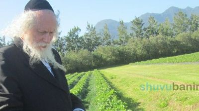 תפילה לומר לפני ברכת האילנות מהגה"צ רבי אליעזר ברלנד שליט"א