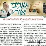 להורדה: 'שביבי אור' לפרשת ואחתנן (נחמו)