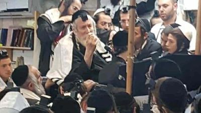 הרב אליעזר ברלנד שליט"א: "כולם יחזרו עם שפע רב מאומן כי הרבי משפיע על כולם"