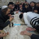 "ברגע שמכרו את יוסף כל השפע הפסיק" - הגה"צ הרב אליעזר ברלנד שליט"א