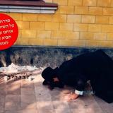 "הבאת אותנו עד לכאן, תביא אותנו לאומן"  • כתבה שלישית בסדרה