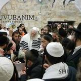 הקליפ מהמעמד ההיסטורי המרגש - הגה"צ הרב אליעזר ברלנד שליט"א מגיע ליוסף הצדיק בשכם בליווי המונים - גלריית תמונות