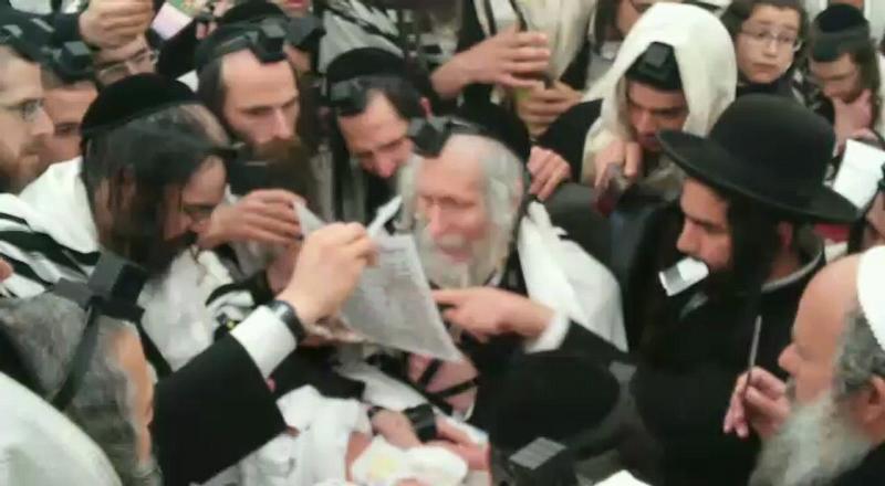 צפו: תיעוד המלא של הברית היום בהולנד