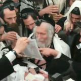 צפו: תיעוד המלא של הברית היום בהולנד