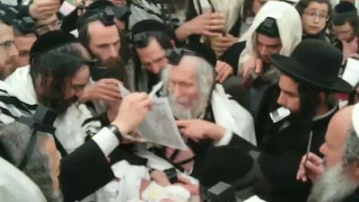 Watch: Full Documentation of the Brit Today in Holland