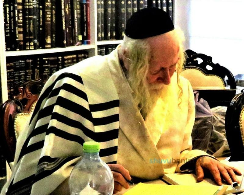 גלריית תמונות חדשה - הגה"צ הרב אליעזר ברלנד שליט"א