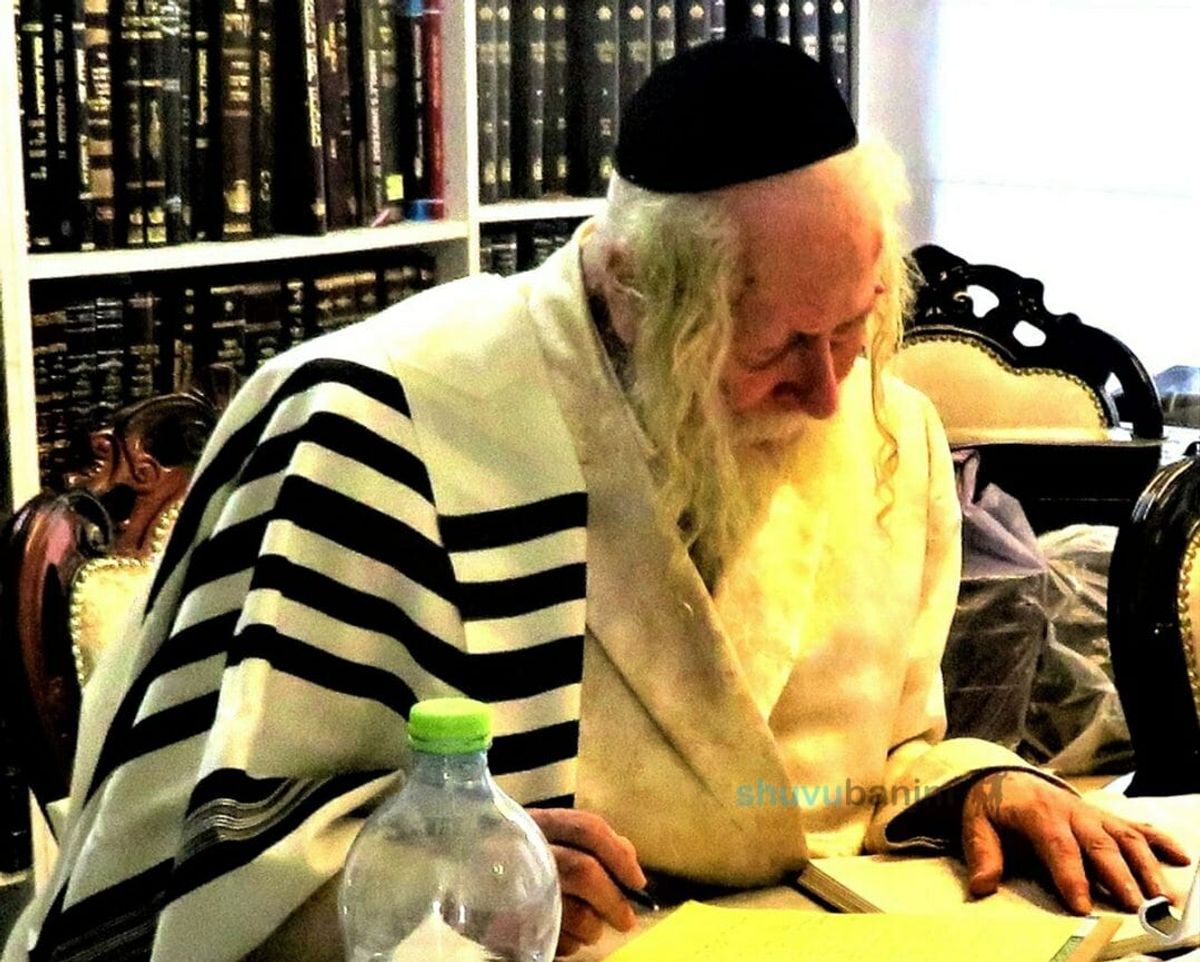 גלריית תמונות חדשה - הגה"צ הרב אליעזר ברלנד שליט"א