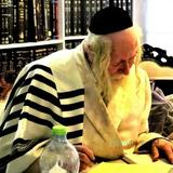 גלריית תמונות חדשה - הגה"צ הרב אליעזר ברלנד שליט"א