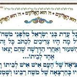 למה צריך לכתוב שבני ישראל יצאו ממשה  •  המאמר היומי מהגה"צ רבי אליעזר ברלנד שליט"א