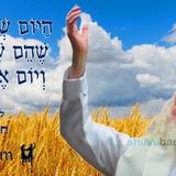 הַיּוֹם שְׁמוֹנָה יָמִים לָעֹמֶר • נוסח ספירת העומר ותפילה מהגה"צ רבי אליעזר ברלנד שליט"א לחסד שבגבורה