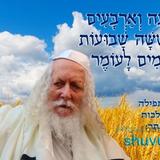 היום שבעה וארבעים יום לעומר • נוסח ספירת העומר ותפילה מהגה"צ רבי אליעזר ברלנד שליט"א להוד שבמלכות