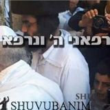 קליפ מרגש לעורר את הלבבות לתפילות על הצדיק הרב אליעזר ברלנד שליט"א