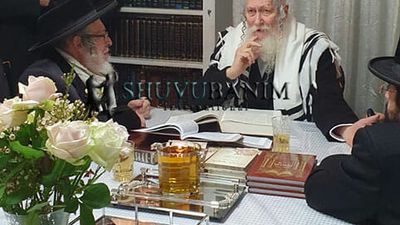 האדמו"ר מסטרופקוב אצל הגה"צ הרב אליעזר ברלנד שליט"א