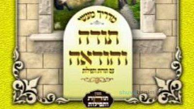 הספר "תודה והודאה – מדריך מעשי" – הגה"צ הרב אליעזר ברלנד שליט"א