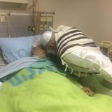 שנה להסתלקותו של הגה"ג הרב יחזקאל ברלנד זצוק"ל אח הגה"צ הרב אליעזר ברלנד שליט"א