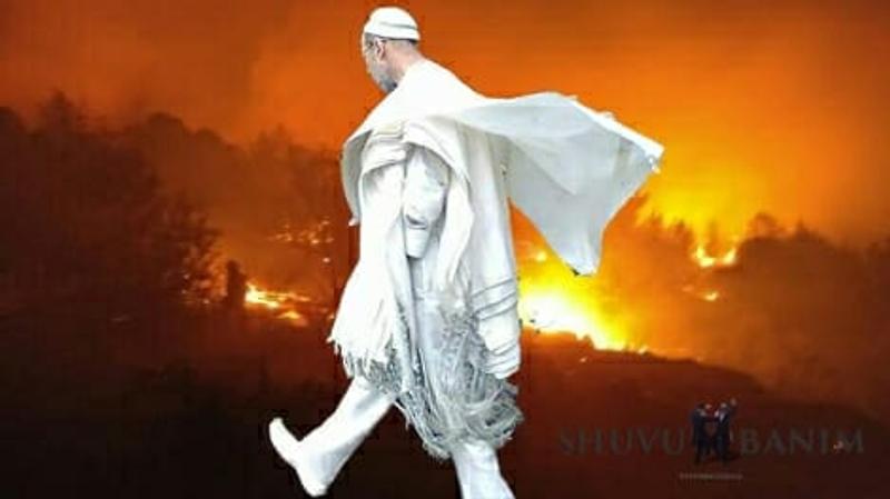 "כל מקום שנתן בו רבי אליעזר עיניו, נשרף!"