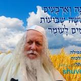 היום שמונה וארבעים יום לעומר • נוסח ספירת העומר ותפילה מהגה"צ רבי אליעזר ברלנד שליט"א ליסוד שבמלכות