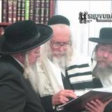 ויקהל פקודי מפי הרב אליעזר ברלנד שליט"א - "האור של הצדיק שבעולם העליון יחפוף על הילד כל החיים"